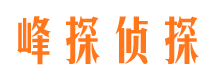 饶阳找人公司